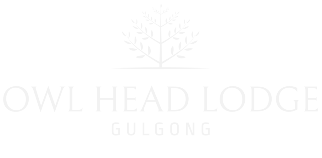 Owl head lodge logo