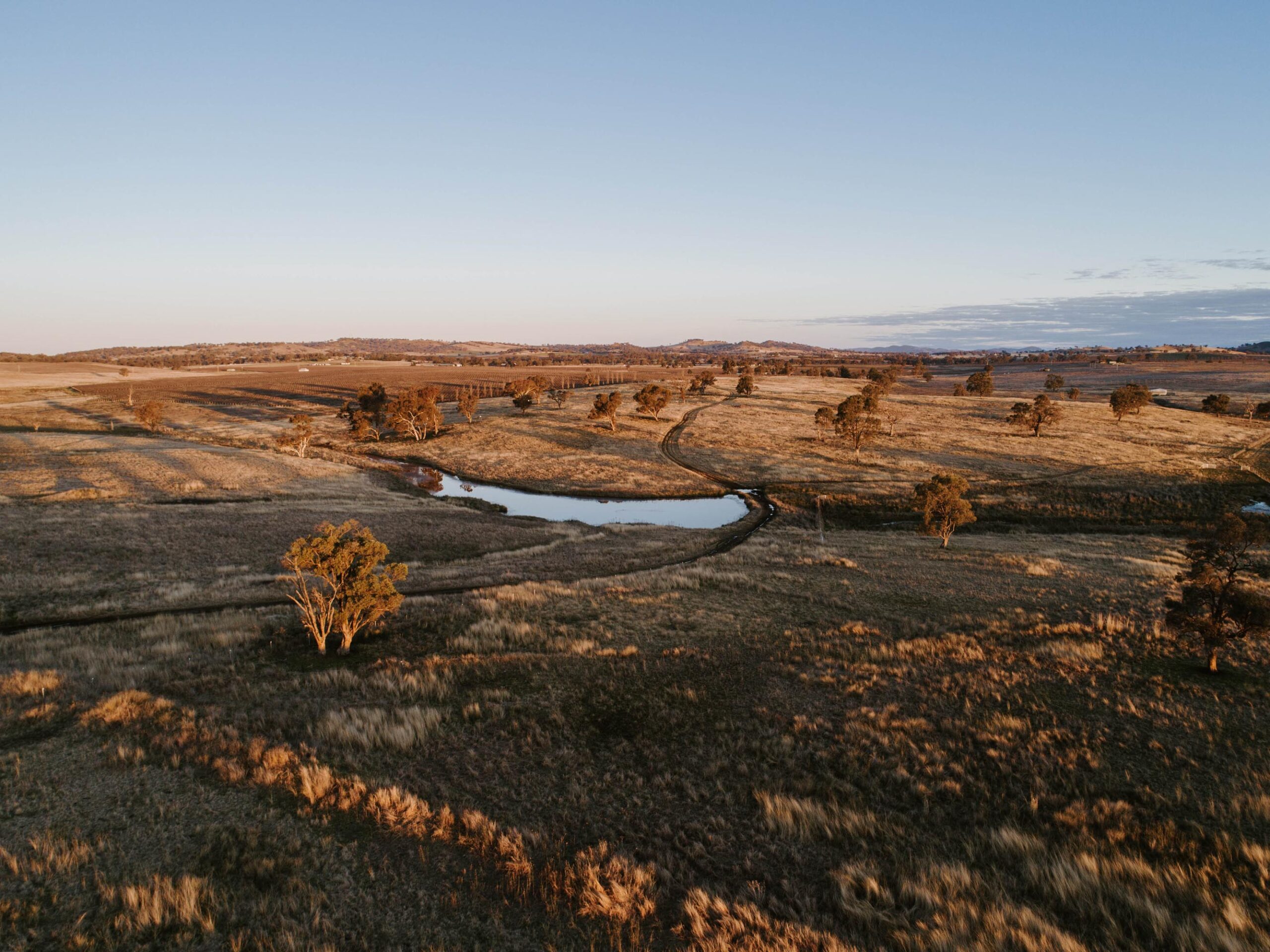 owl head lodge glass cottage accommodation gulgong