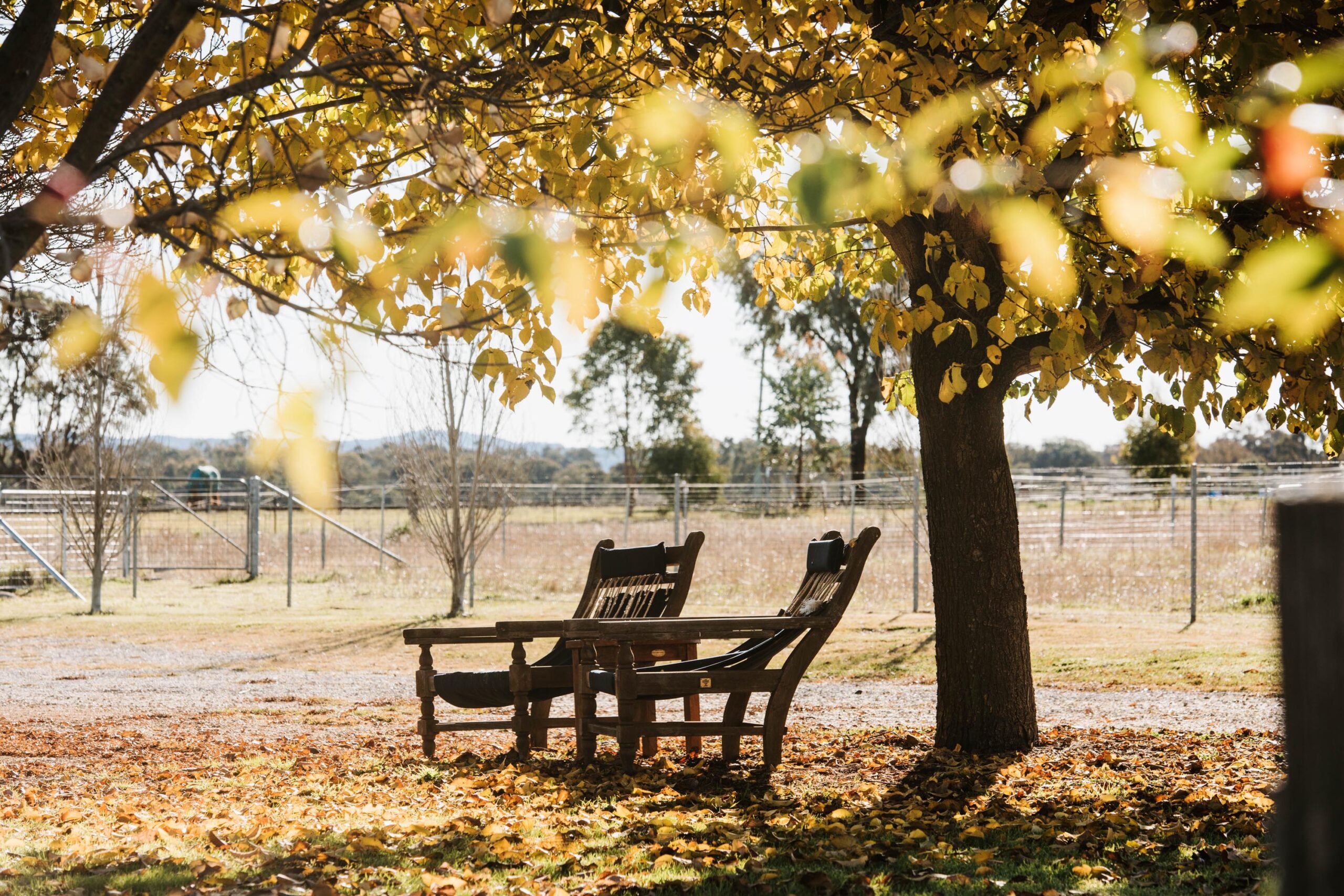 owl head lodge glass cottage accommodation gulgong relaz getaway weekend