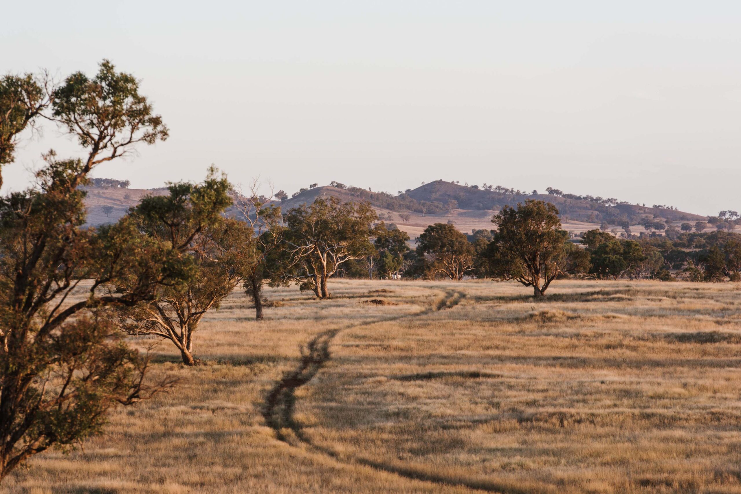 owl head lodge glass studio gulgong mudgee accommodation country road