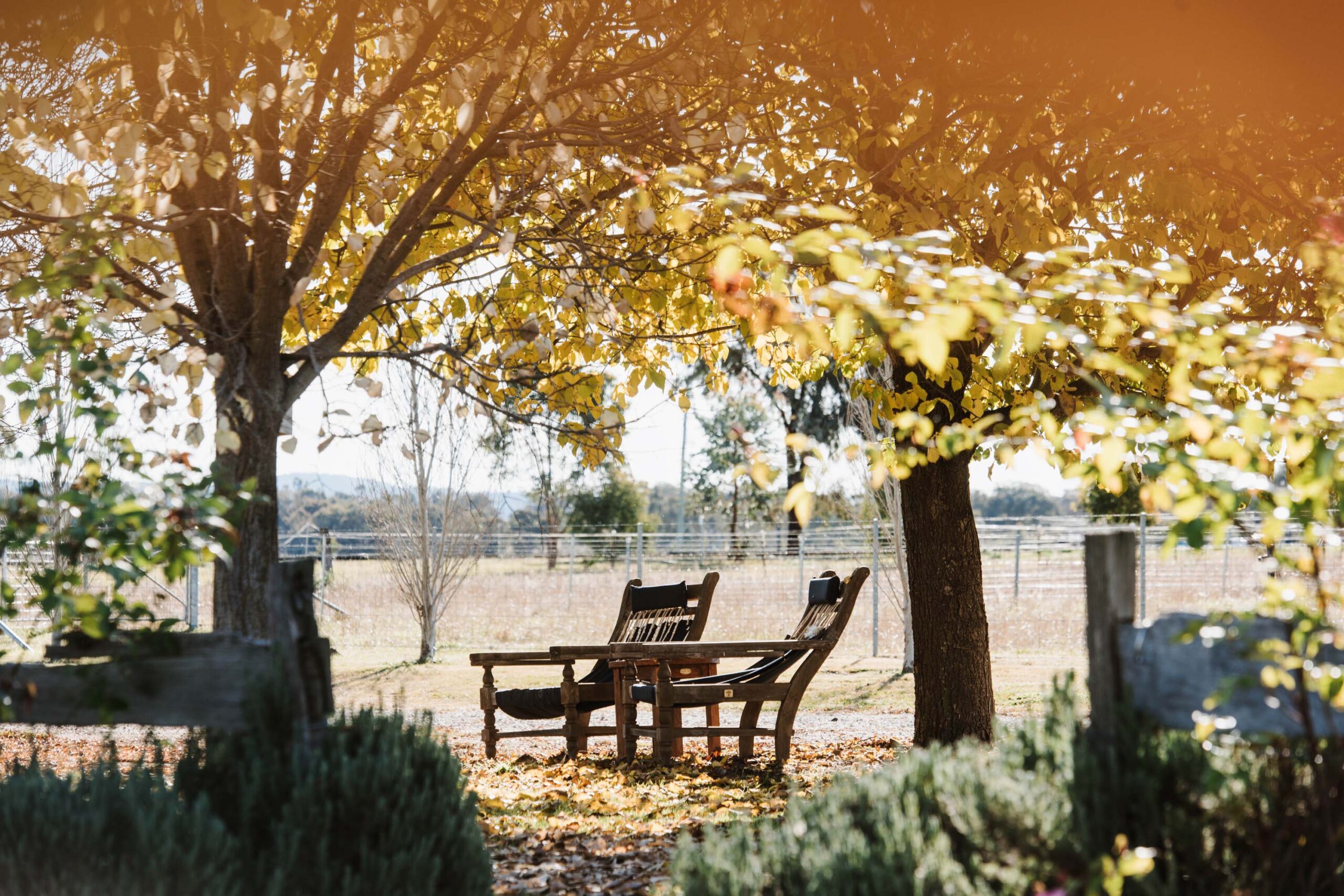 owl head lodge glass studio gulgong mudgee accommodation sundowners