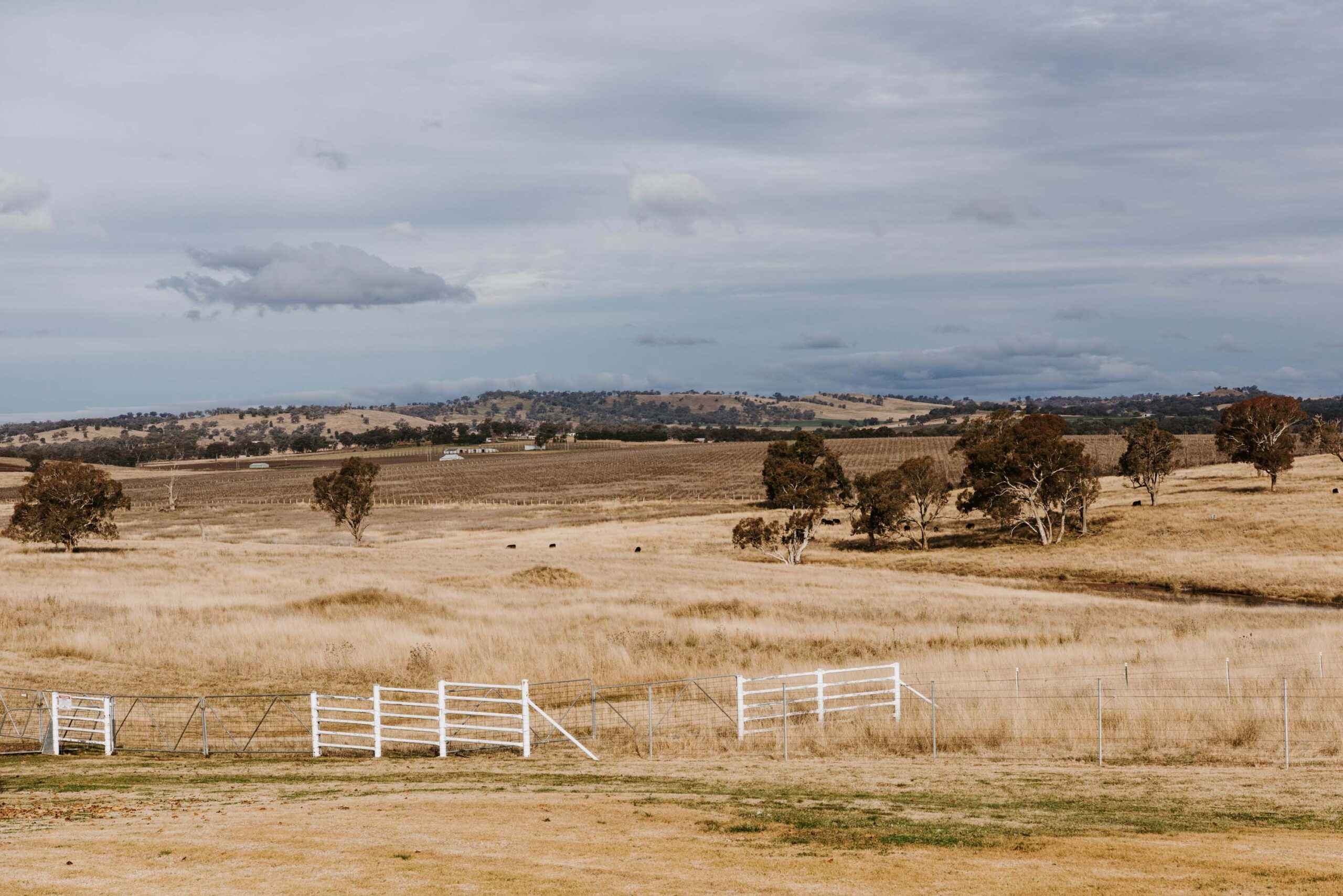 owl head lodge shearers cottage accommodation mudgee