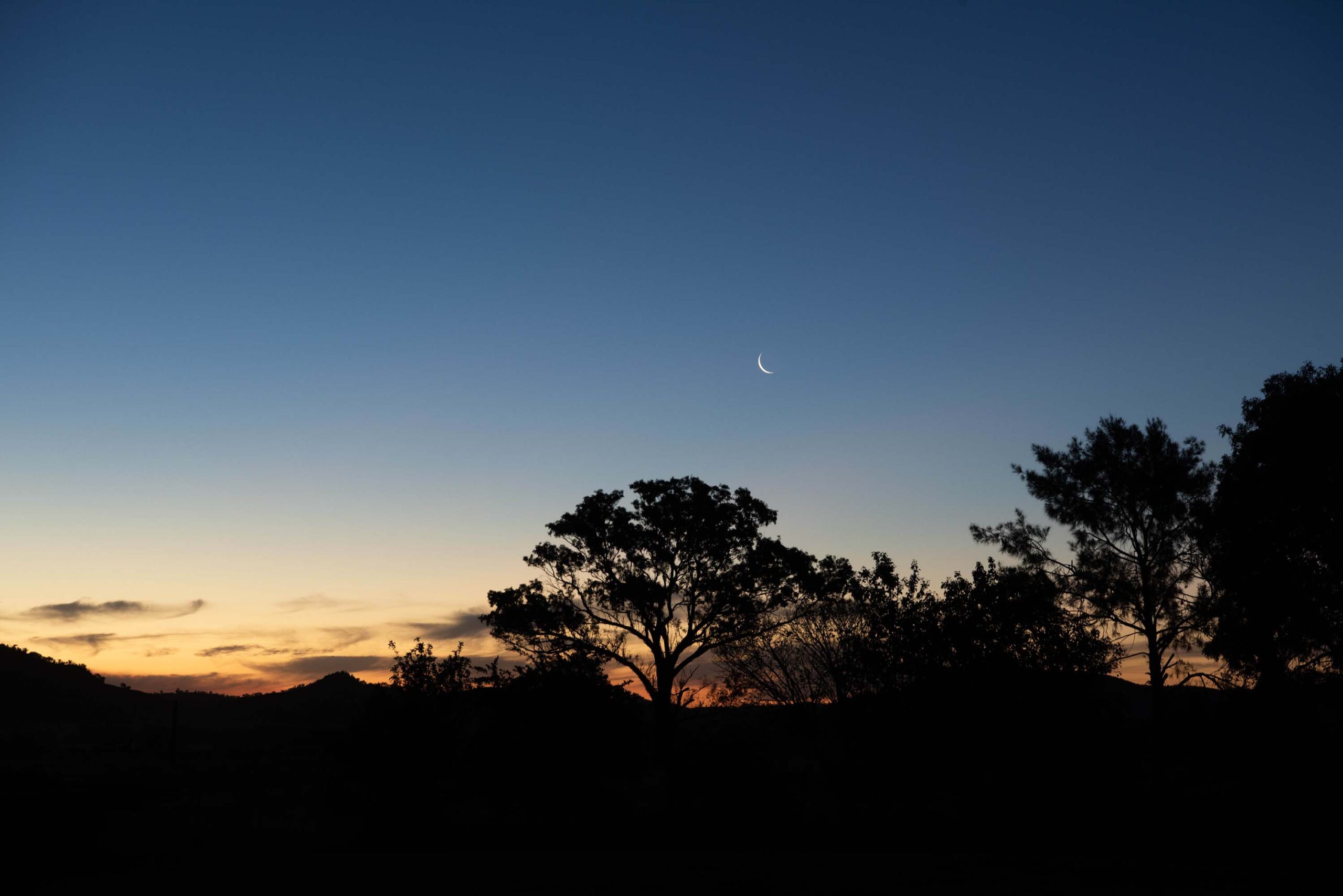 owl head lodge shearers quarters east gulgong accommodation moon twilight